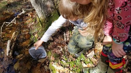 two kids releasing a salamander into a vernal pool