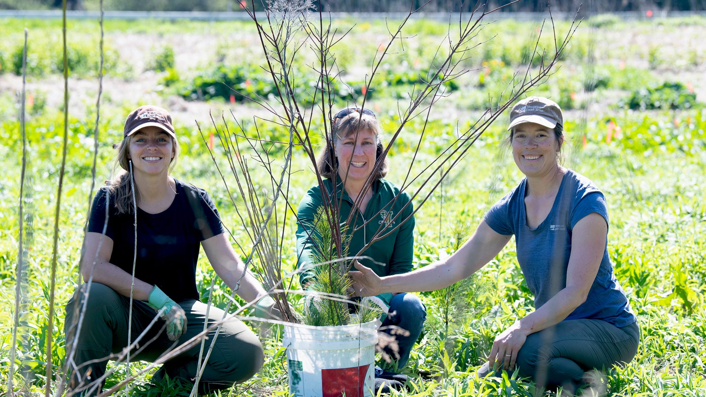 About Us Vermont Land Trust Our farms, our forests, our future