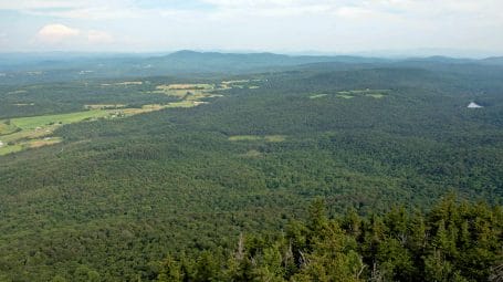 View of huge forest from top of Elmore Mountain