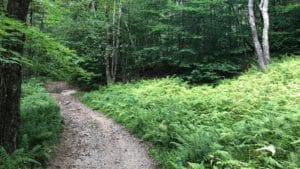 West Mountain trail through conserved woodland