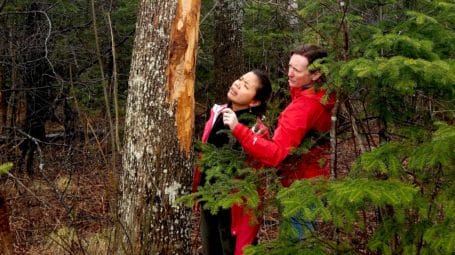 two women looking at tree with peeling bark that is infected with emerald ash borer
