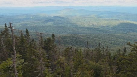 View from hilly summit of rolling forested hills as fas as eye can see - Vermont - forests, wildlife, climate