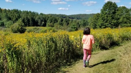 girl seen from the back, walking on a mowed trail in a sunny field with trees in the distance - Vermont - Jericho - Mobbs Farm