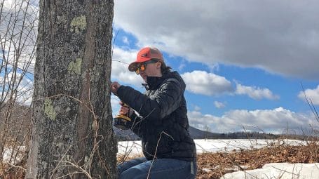 young woman drilling into tree as part of a place-based learning program in vermont