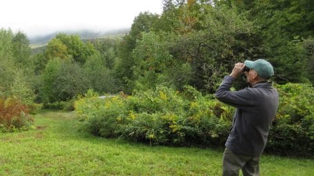 Fred looking through binoculars birdwatching in late summer