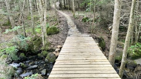 a boardwalk going over a stream/creek and trail continuing into woods - community forest Burke Vermont