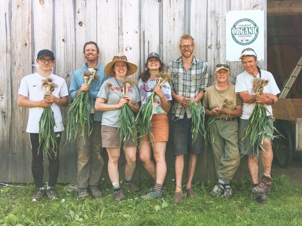 farm crew standing in a row holding harvested garlic with organic sign on the barn wall - pownal farm vermont