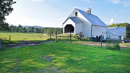 Historic white barn at Templeton Farm