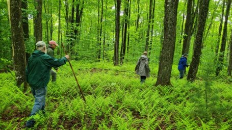 People walking through lush green forest in summer - Danville Vermont - Fairbanks Museum Nature Preserve at the Matsinger Forest