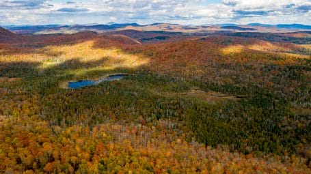 aerial photo of forest, hills, and wetlands in the fall - Vermont