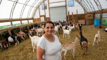 Woman smiling at camera as she stands in a hoop barn with lots of goats behind her - Gita at Dhaurali Goats in Colchester Vermont