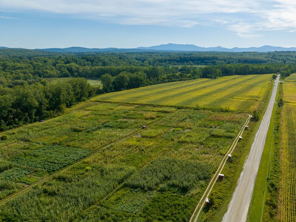 aerial shot of community garden plots lush and green with produce - Pine Island Community Gardens, Colchester Vermont