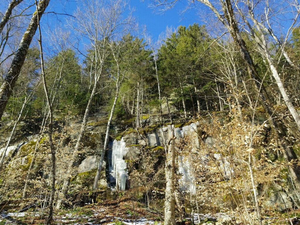Craggy ledges with young trees growing on top - Newark Vermont