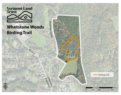 map of the whetstone woods birding trail