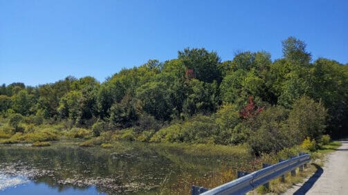 Vermont Land Trust - Protecting the Vermont You Love