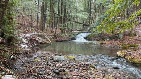 Pool in forest with pebbles and rocks around - Athens Vermont community forest