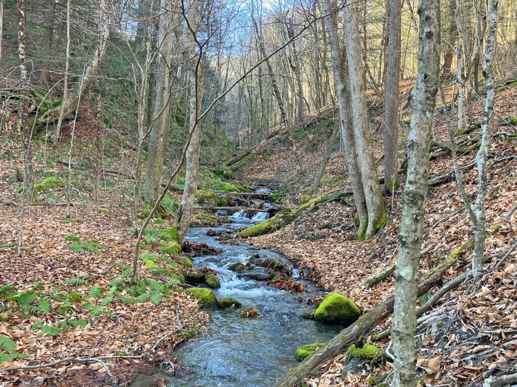 mountain stream with sunny skies in distance - Pownal town forest Vermont