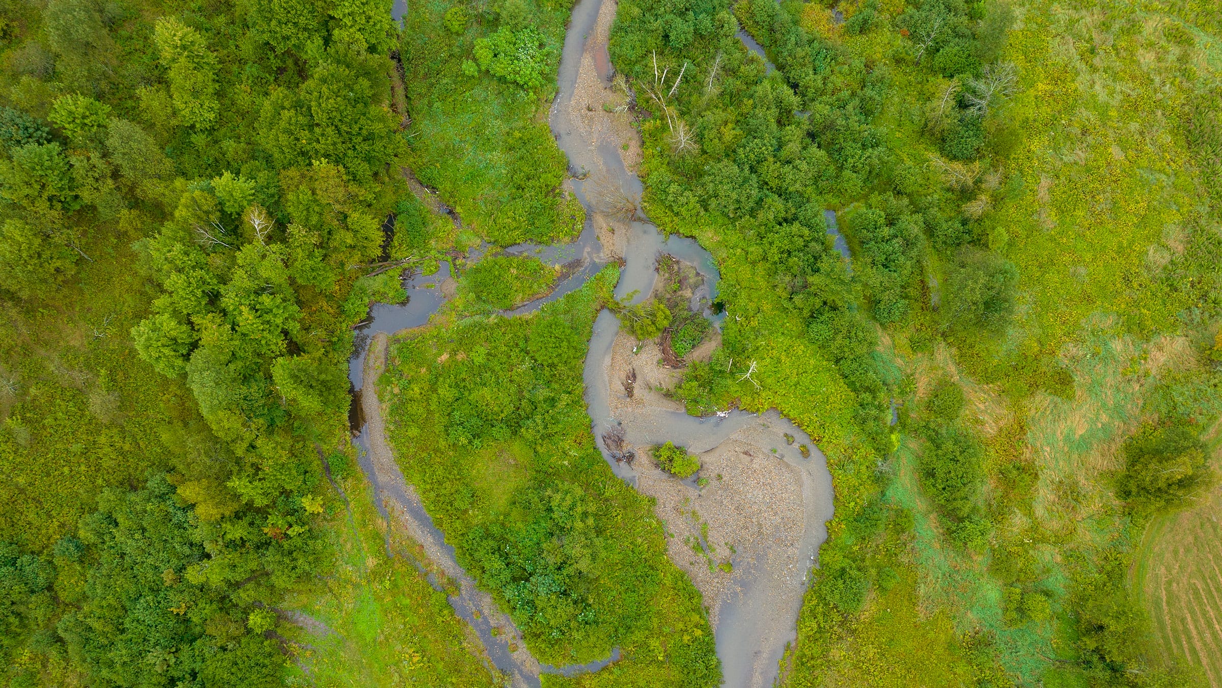 The time to respond to climate change is now Vermont Land Trust