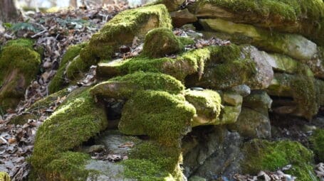 An old stone wall covered in green moss