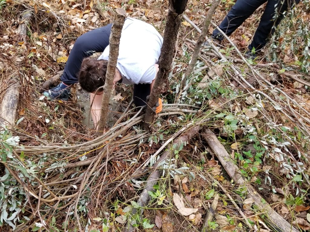 A person working with stems and branches, building a beaver dam analog in a dry stream bed. Vermont restoration