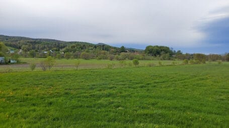lush green spring growth on farm fields - hills in distance - DeFreest Farm Waitsfied Vermont