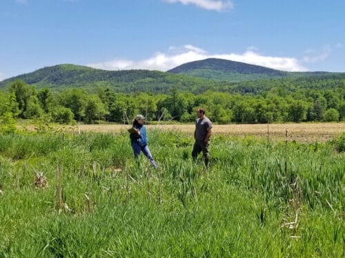 Two people at the edge of a sunny farm field - hills in distance - DeFreest Farm Vermont
