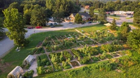 Arial view of community garden