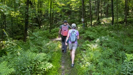 Two people hiking in the shade of the Hinesburg Town Forest.