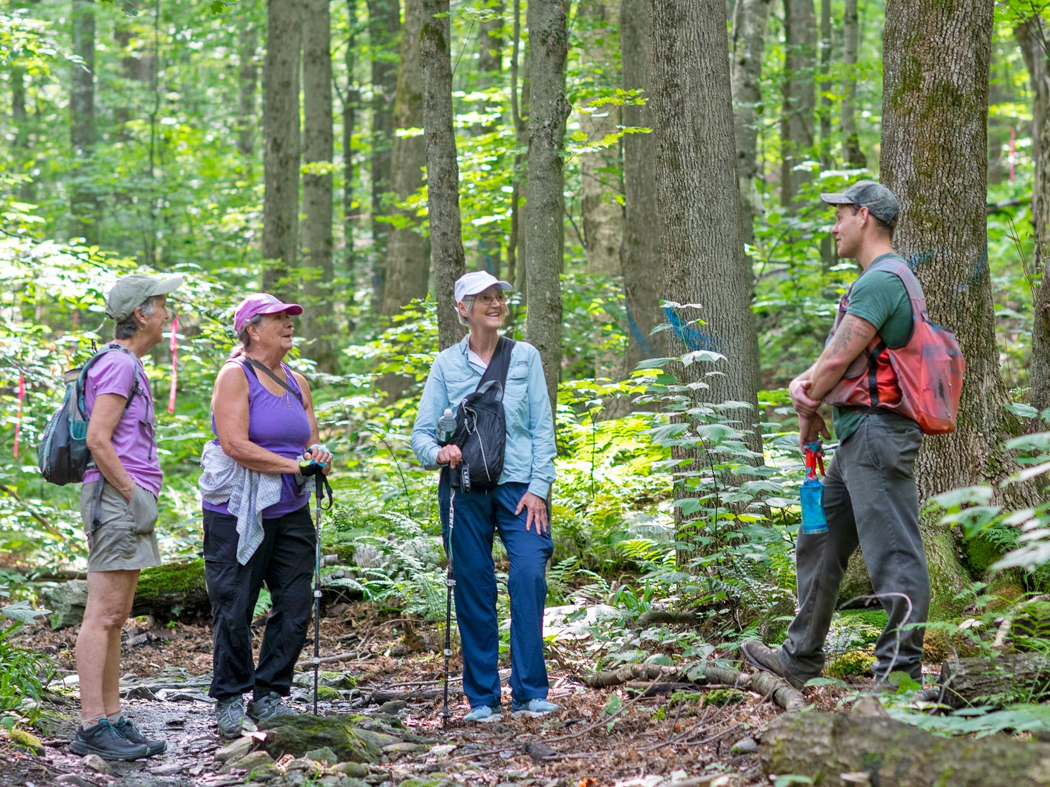 Hinesburg embraces forest health and recreation at its town forest