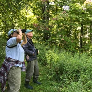 Two people looking up at forest with binoculars